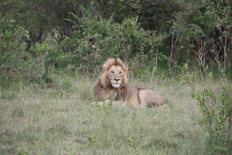 Tsavo Kenya 