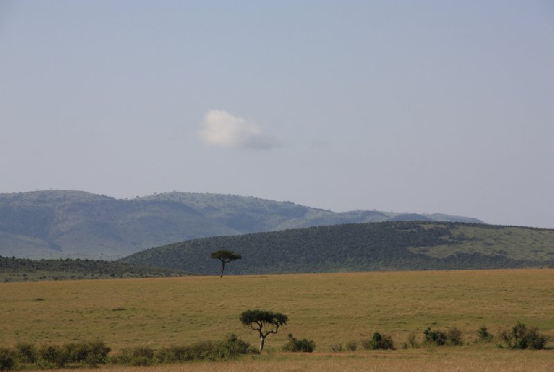 Tsavo Kenya 