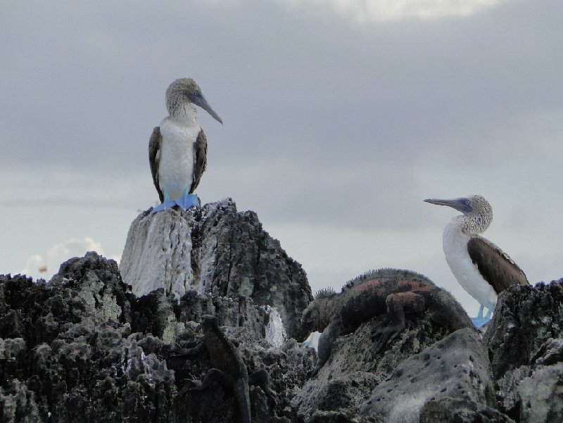 Photo Quito to Galapagos flight 