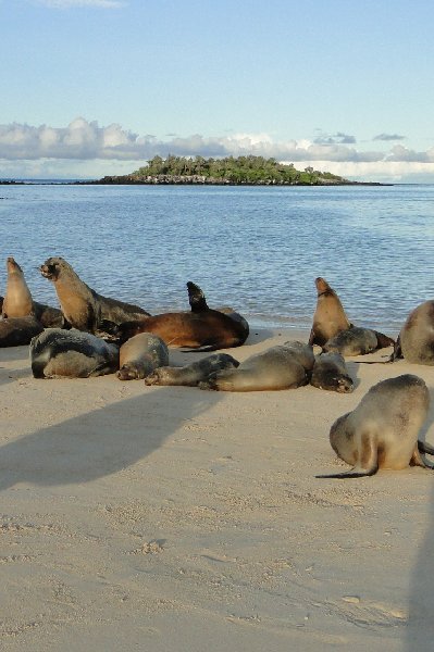 Galapagos Islands Ecuador Travel Review