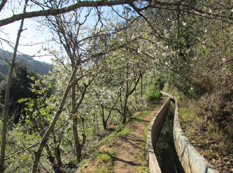 Madeira Portugal in May Vacation Experience