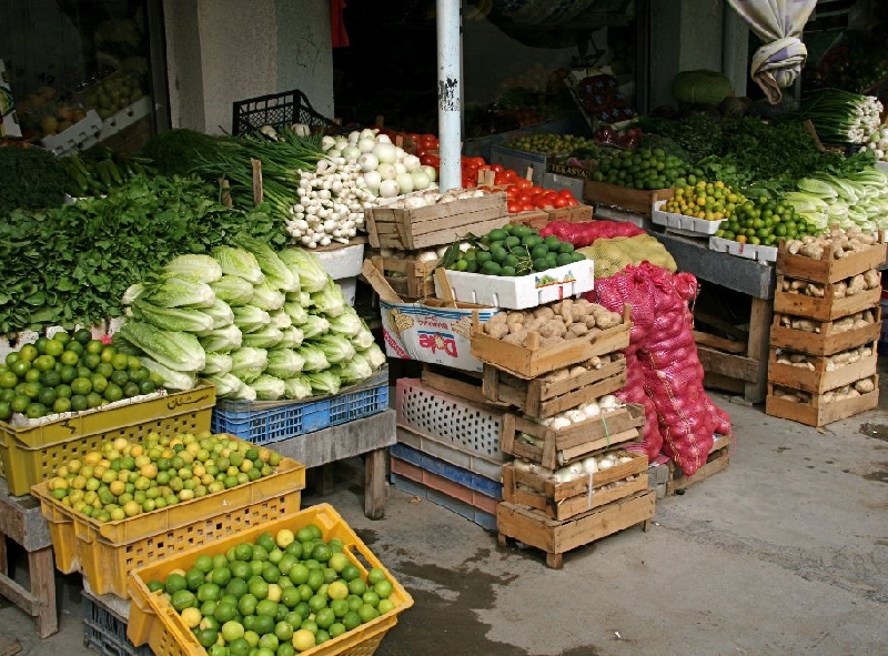 Short Vacation in Fujairah United Arab Emirates Travel Blog