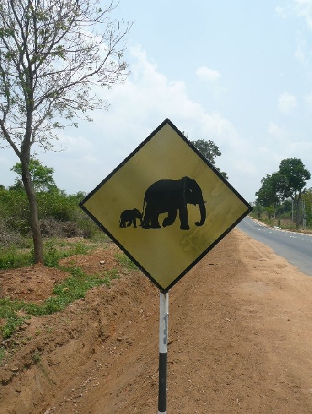 Anuradhapura Sri Lanka Album