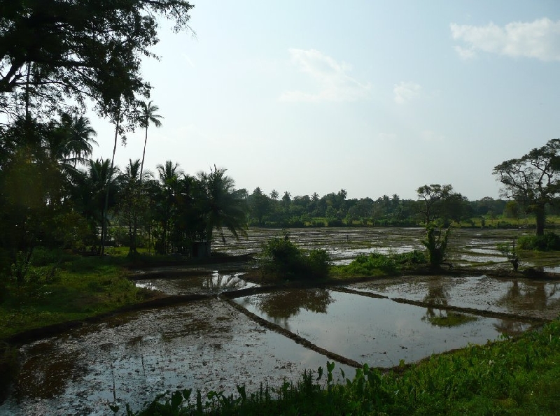 Photo Habarana Sri Lanka 