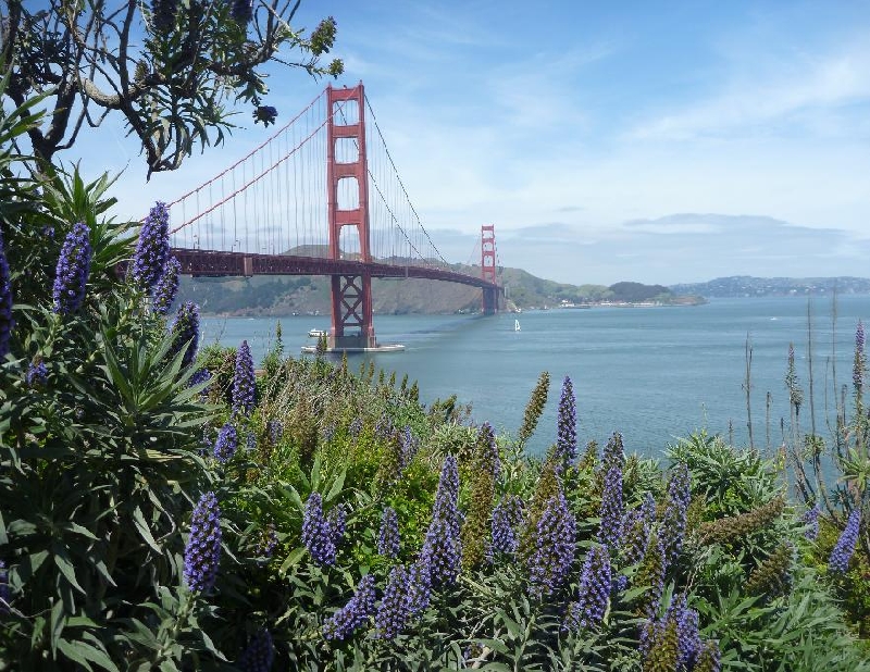   San Francisco United States Travel Tips