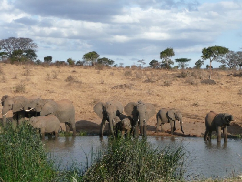   Narok Kenya Travel