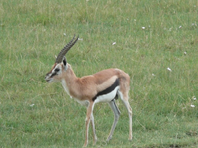 Narok Kenya 