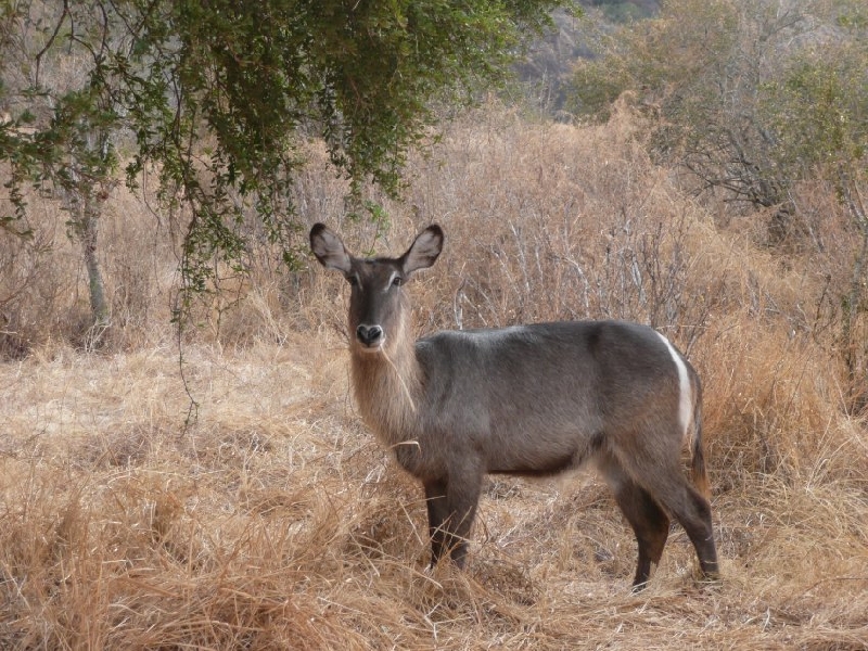 Narok Kenya 