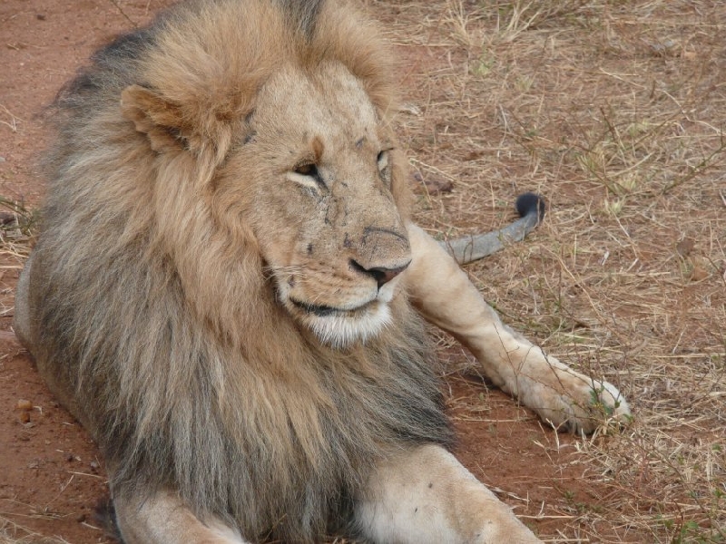 Narok Kenya 