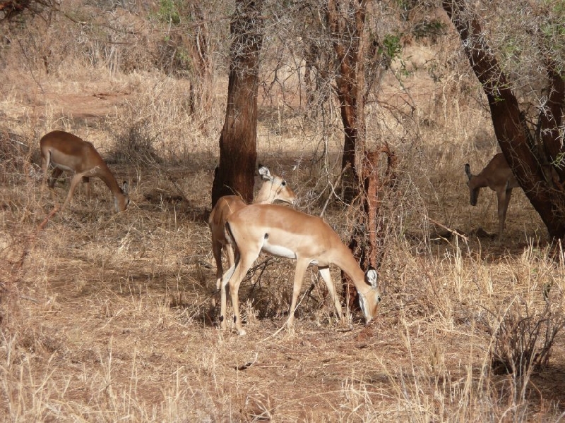 Narok Kenya 