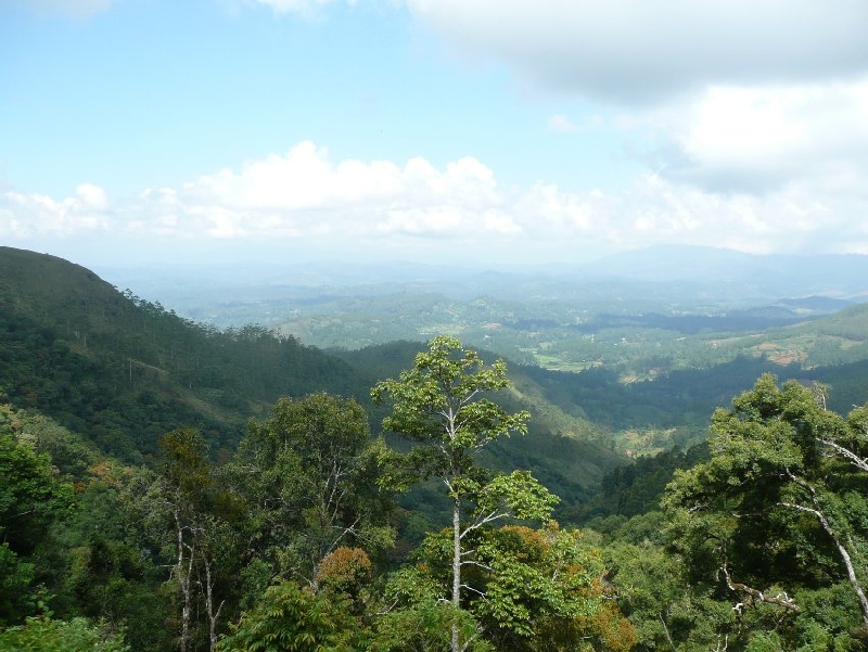 Photo Nuwara Eliya Sri Lanka 