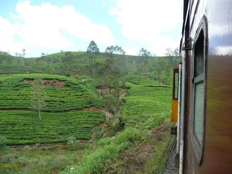 Nuwara Eliya Sri Lanka Stay Travel Diary