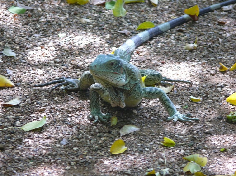 Photo Holiday on Beautiful Curacao 