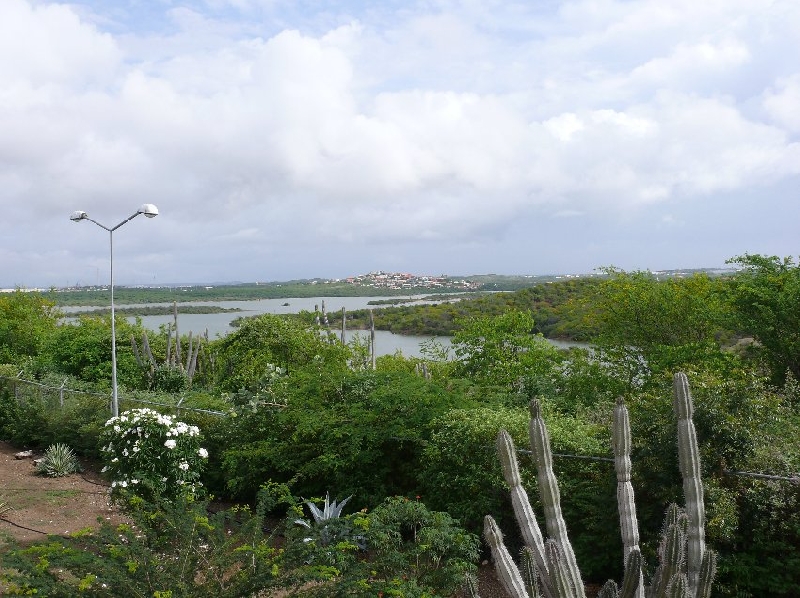 Photo Holiday on Beautiful Curacao 