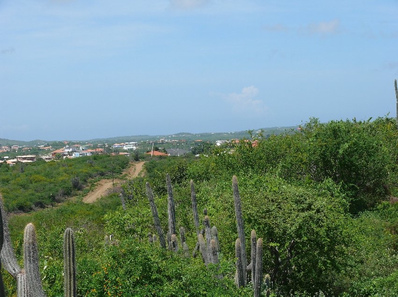 Rental Villa on Curacao Willemstad Netherlands Antilles Travel Photo