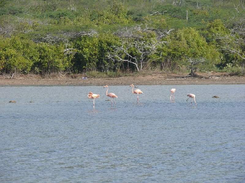 Photo Holiday on Beautiful Curacao 