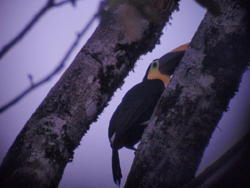 Costa Rica Boat Tour La Fortuna Photo Sharing