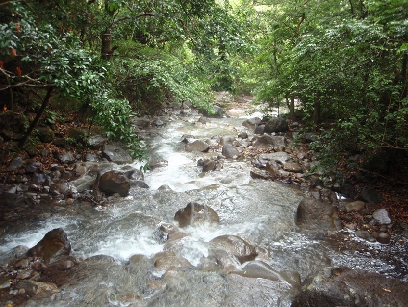 Photo Studying abroad in Costa Rica 