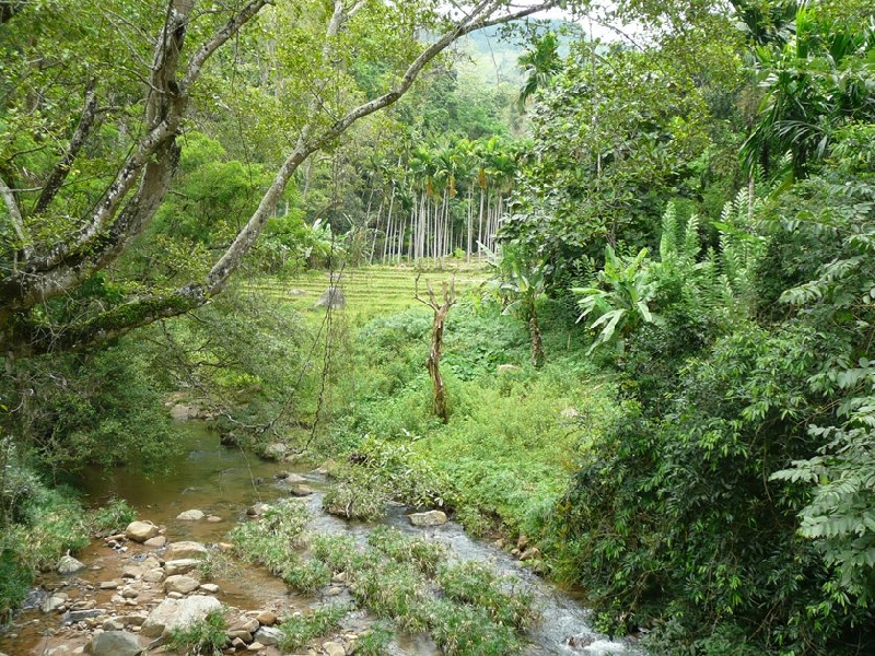 Photo Bandarawela Sri Lanka 