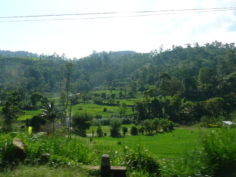 Bandarawela Sri Lanka by Train Album