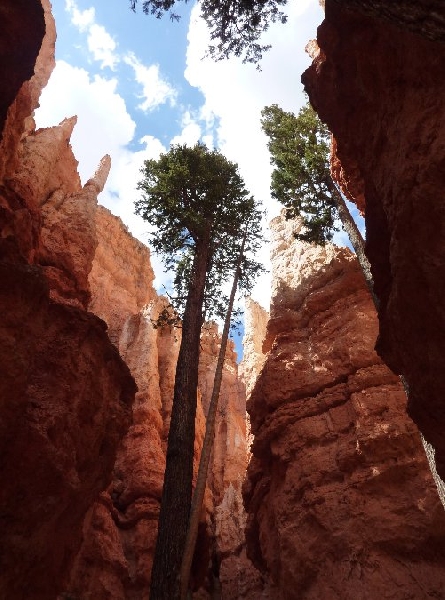 Canyonlands National Park Moab United States Blog Pictures