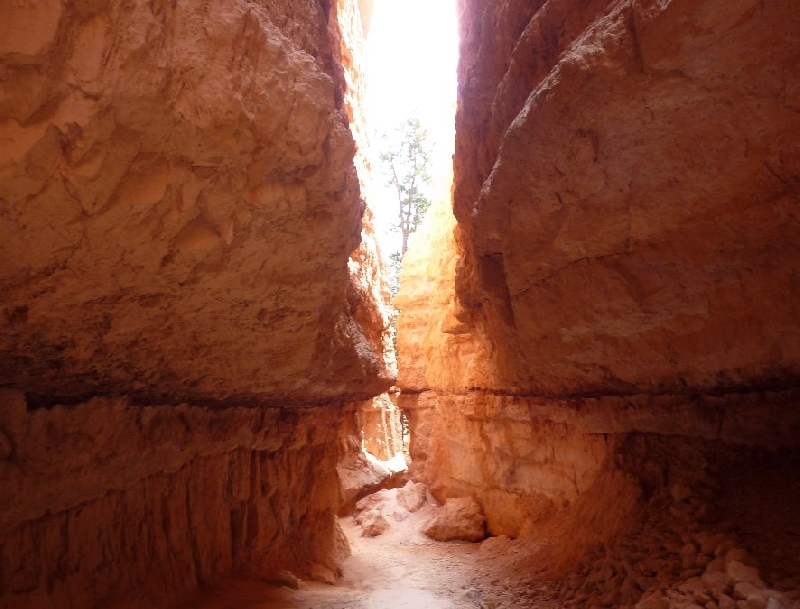 Canyonlands National Park Moab United States Travel Blog