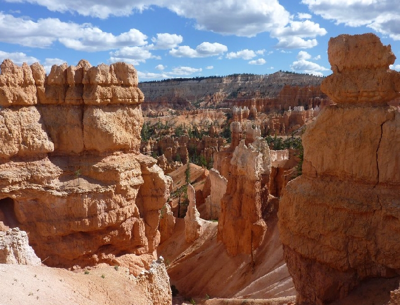 Canyonlands National Park Moab United States Trip Picture