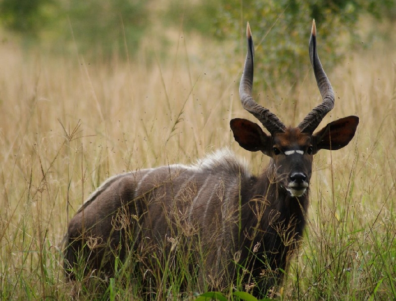 Photo Drifters Kruger Park Safari South Africa 