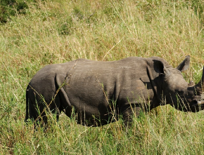 Holiday South Africa Johannesburg Zoo Diary Photo