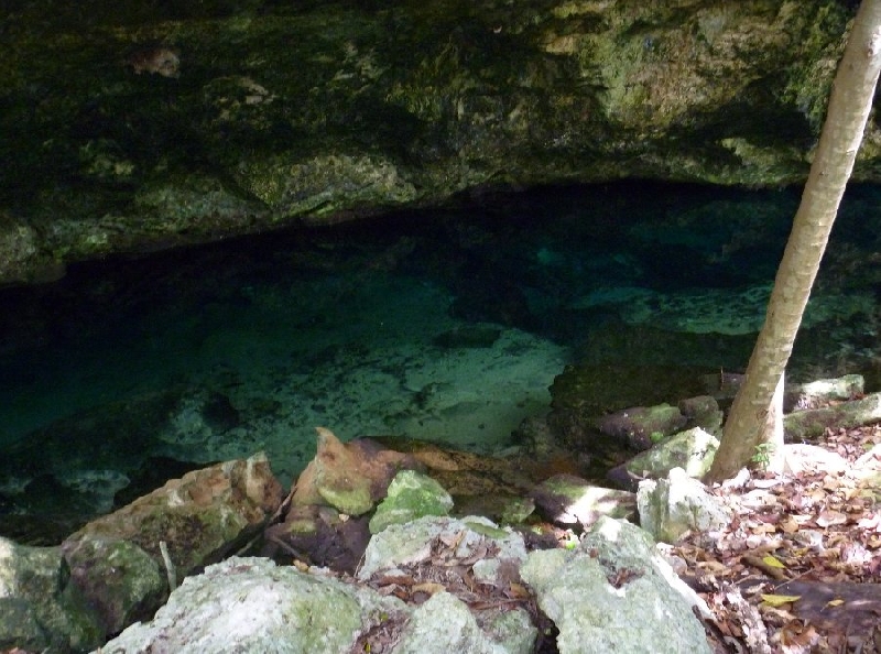   Playa del Carmen Mexico Vacation Picture