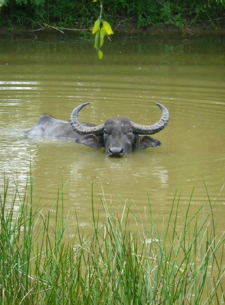 Hambantota Sri Lanka 