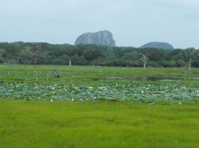 Photo Hambantota Sri Lanka 