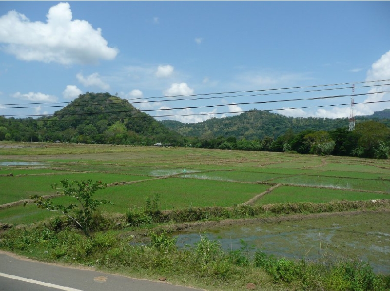 Hambantota Sri Lanka Picture