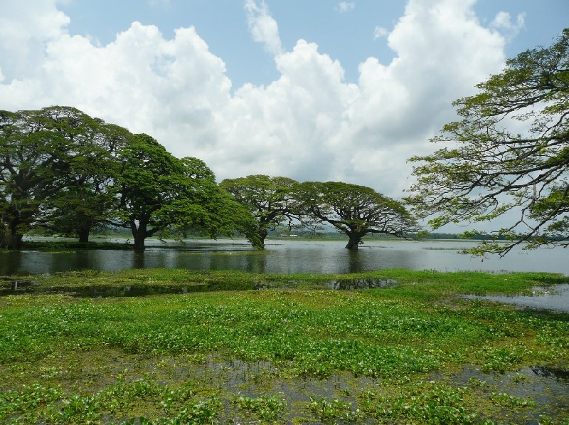 Photo Hambantota Sri Lanka 