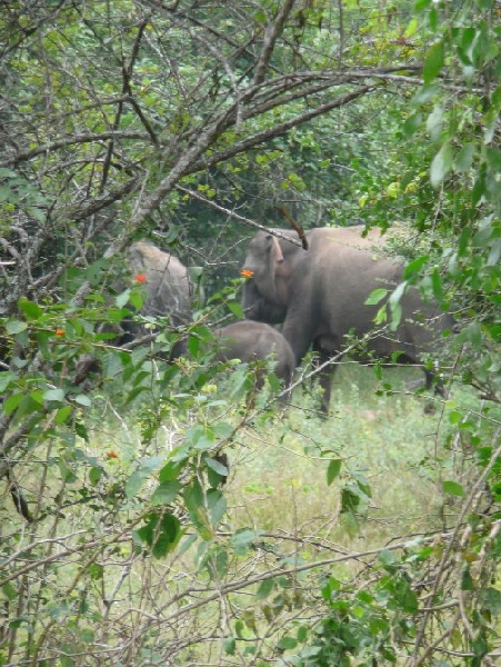 Hambantota Sri Lanka 