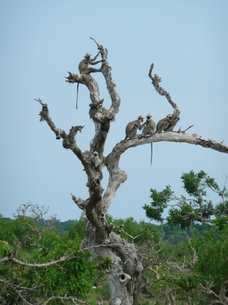 Hambantota Sri Lanka 