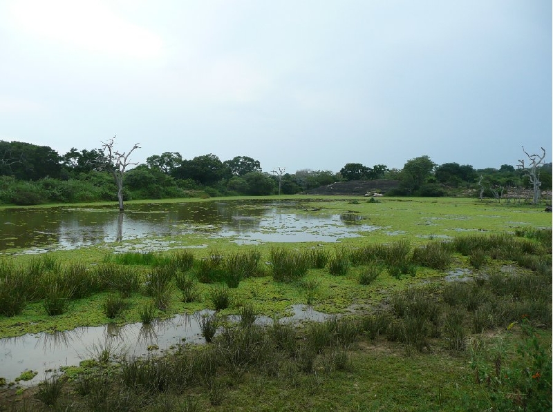 Photo Hambantota Sri Lanka 