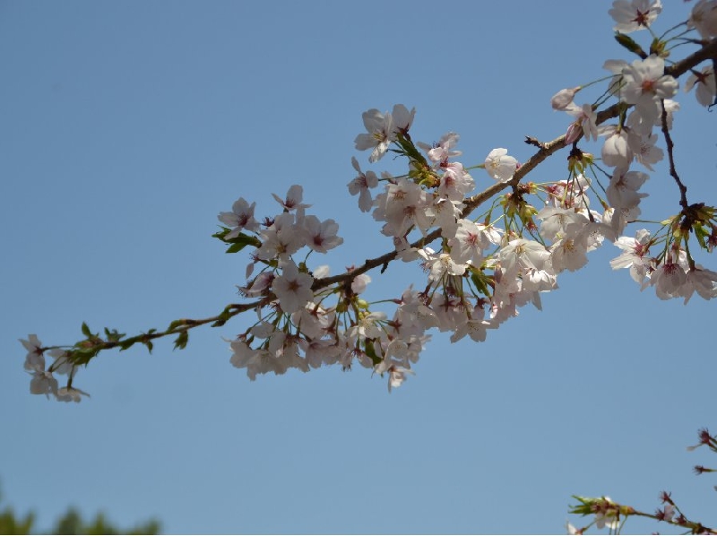 Nagoya Japan 