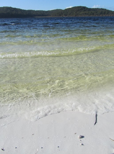 Fraser Island Australia 