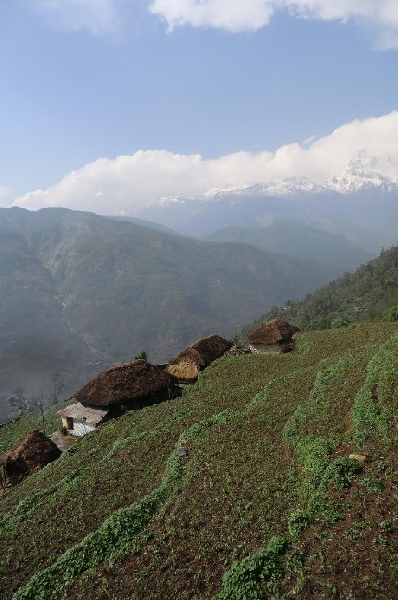 Annapurna Nepal 