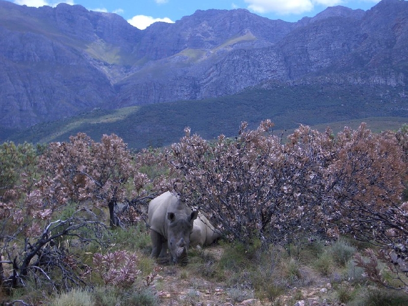 Cape Town Coastline South Africa Travel Album