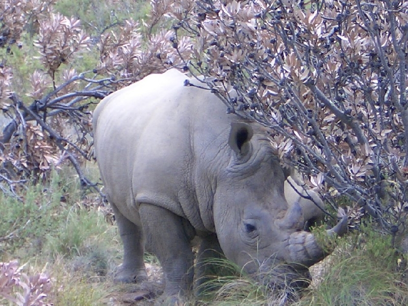 Cape Town South Africa 