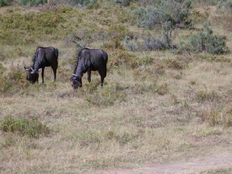 Photo Holiday in South Africa 