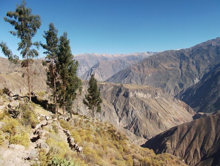 Adventure Travel Colca Canyon Peru Travel Photo