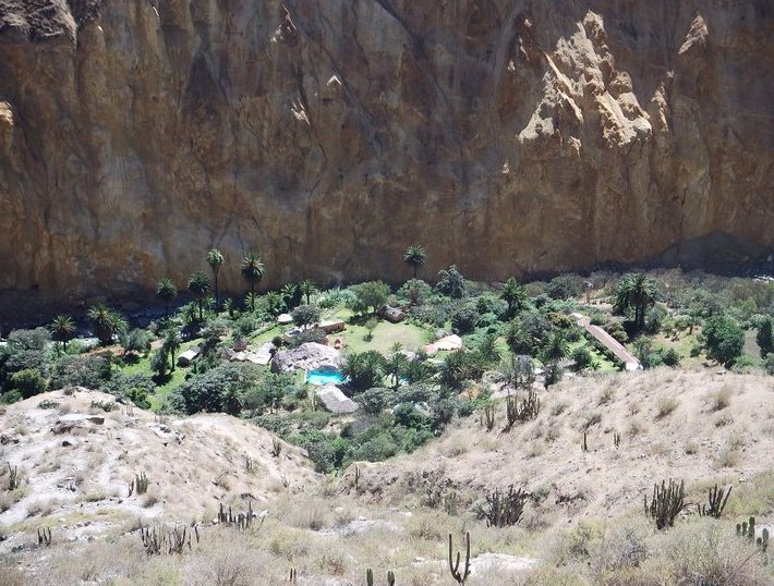 Colca Canyon Peru  