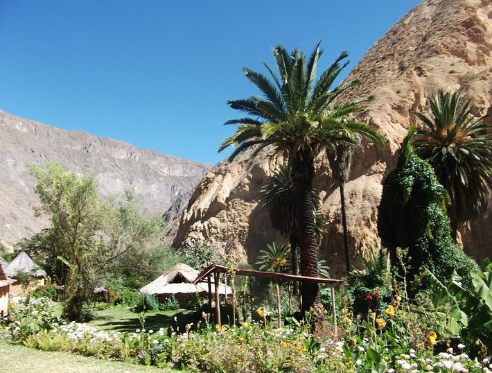   Colca Canyon Peru Vacation Picture