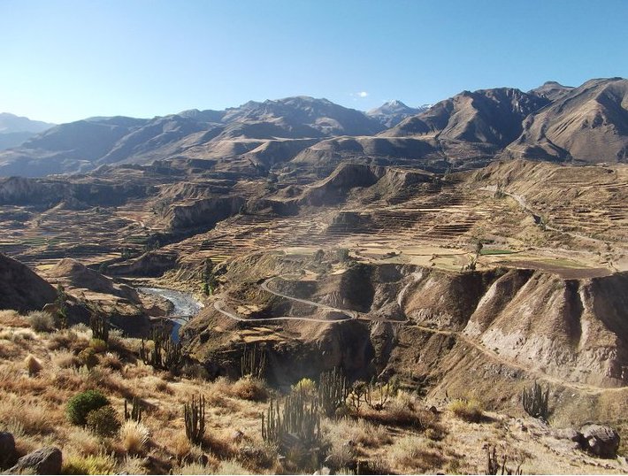 Colca Canyon Peru 