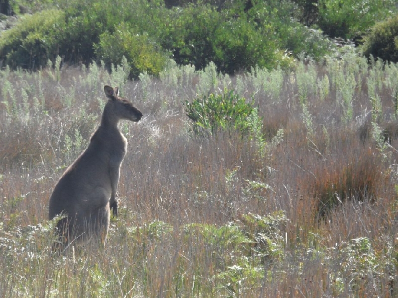 Photo Backpacking through Australia 