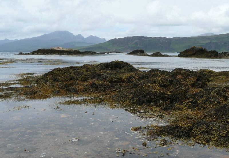 Photo Touring Scotland by car 