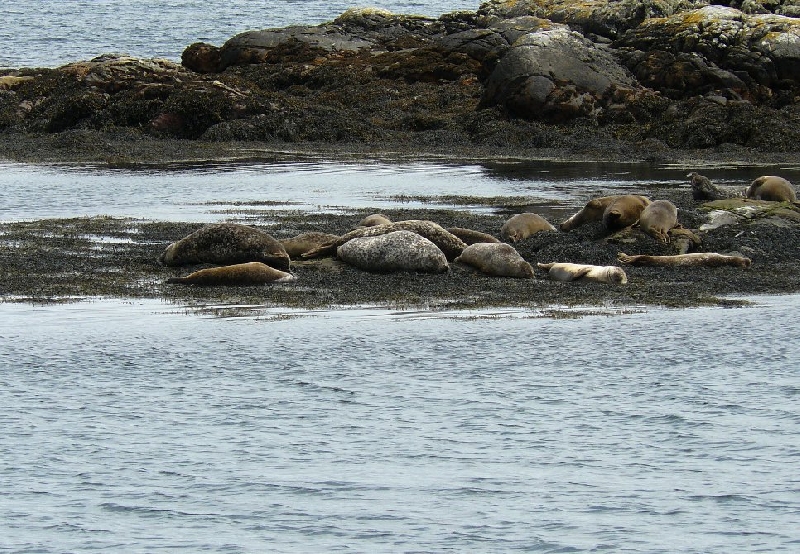 Touring Scotland by car United Kingdom Holiday Pictures